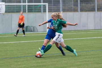 Bild 211 - F Oberliga Saisonstart